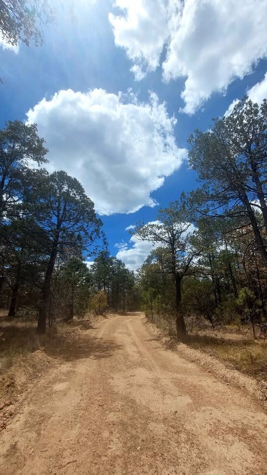 Terreno en venta · 1 000 m² · Durango 2