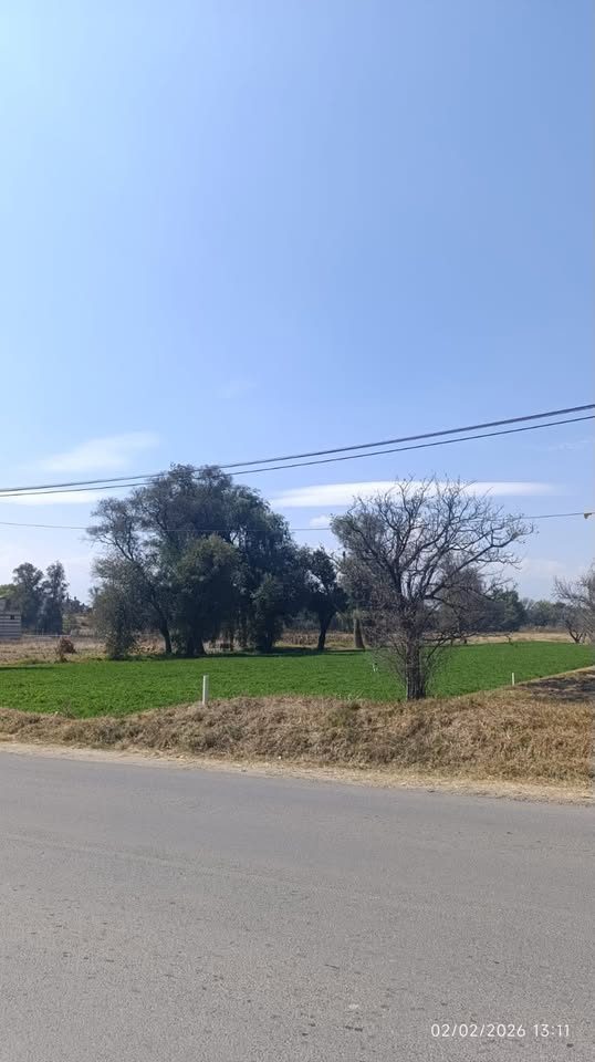 Terreno en venta · Cholula de Rivadavia 3