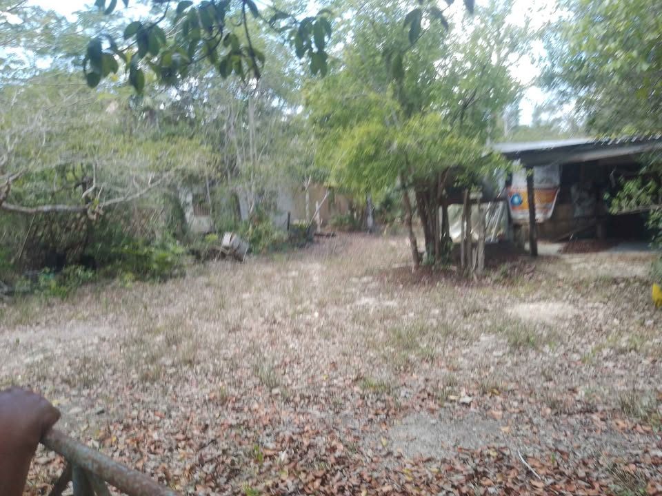 Monoambiente 0 baños - Casa 3