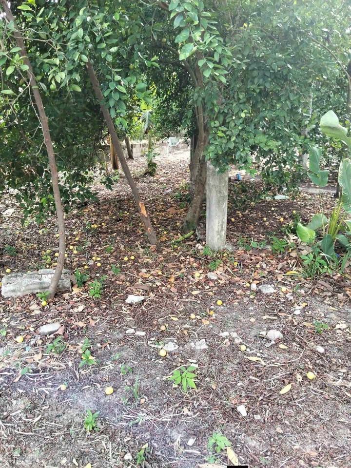 Monoambiente 0 baños - Casa 2