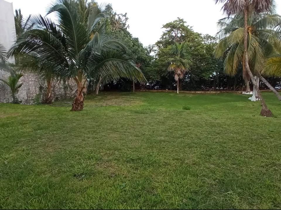 Monoambiente 0 baños - Casa 2