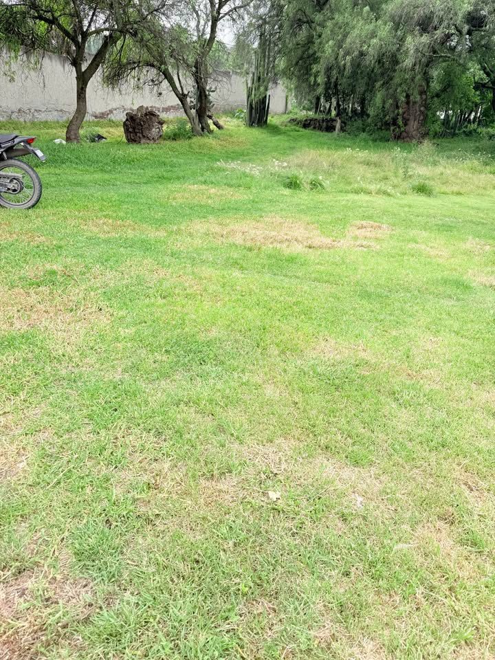 Monoambiente 0 baños - Casa 2