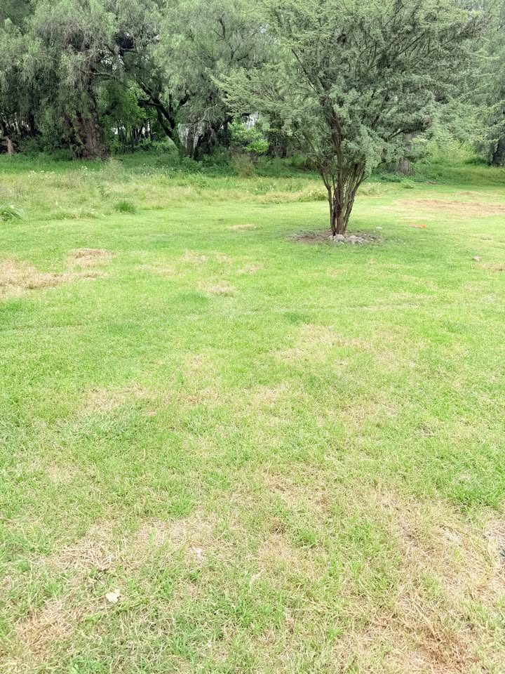Monoambiente 0 baños - Casa 3