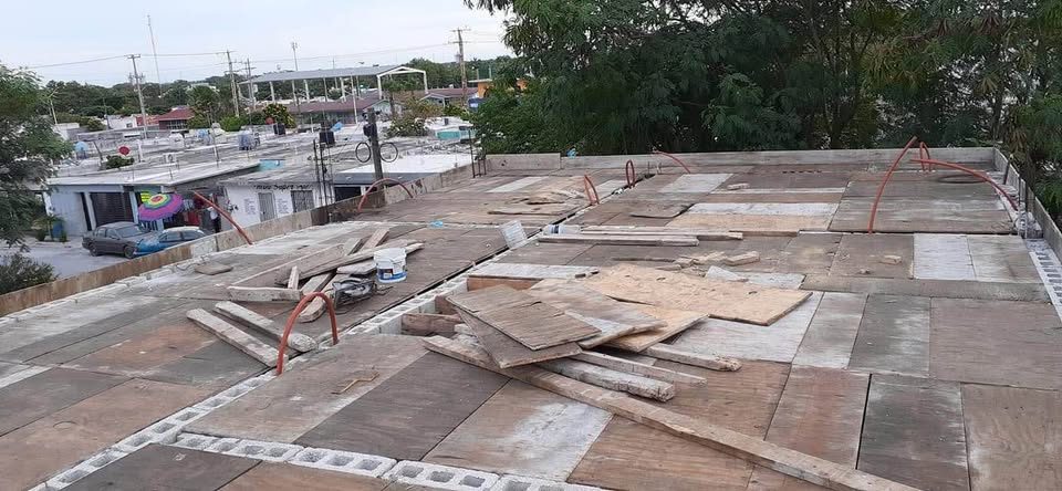 Se renta madera para cimbra 2