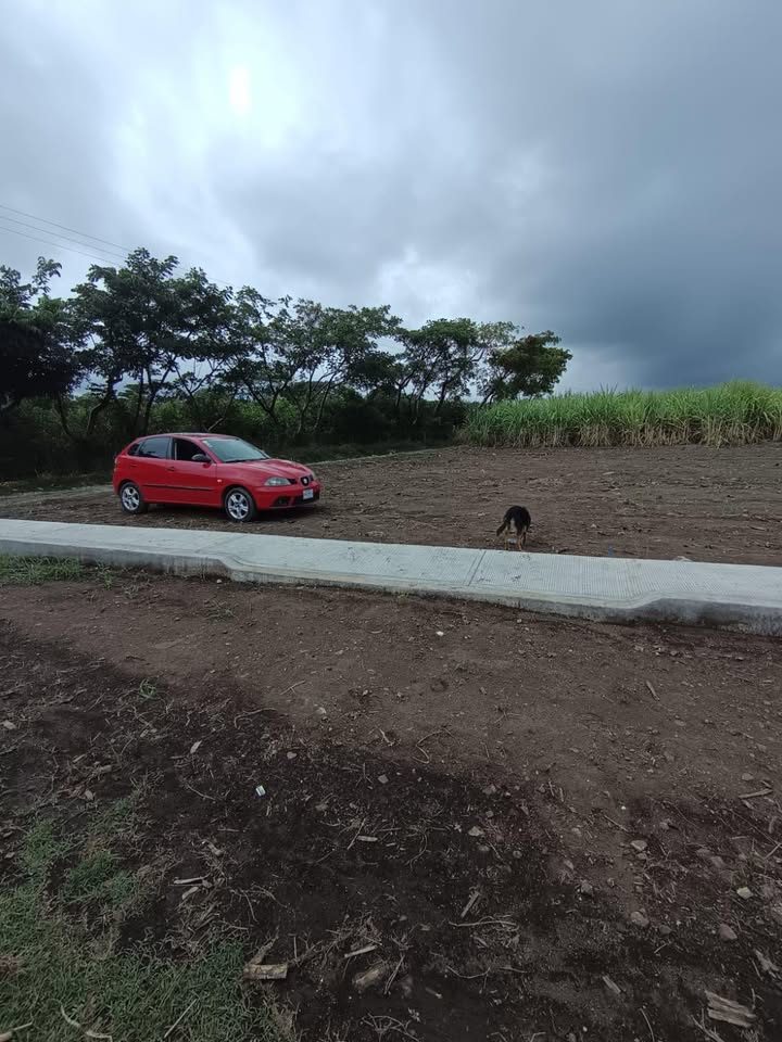 Terrenos+en+venta+en+mahuixtlan+ 3