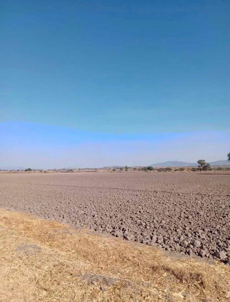 1,500 HECTÁREAS EN VENTA 3