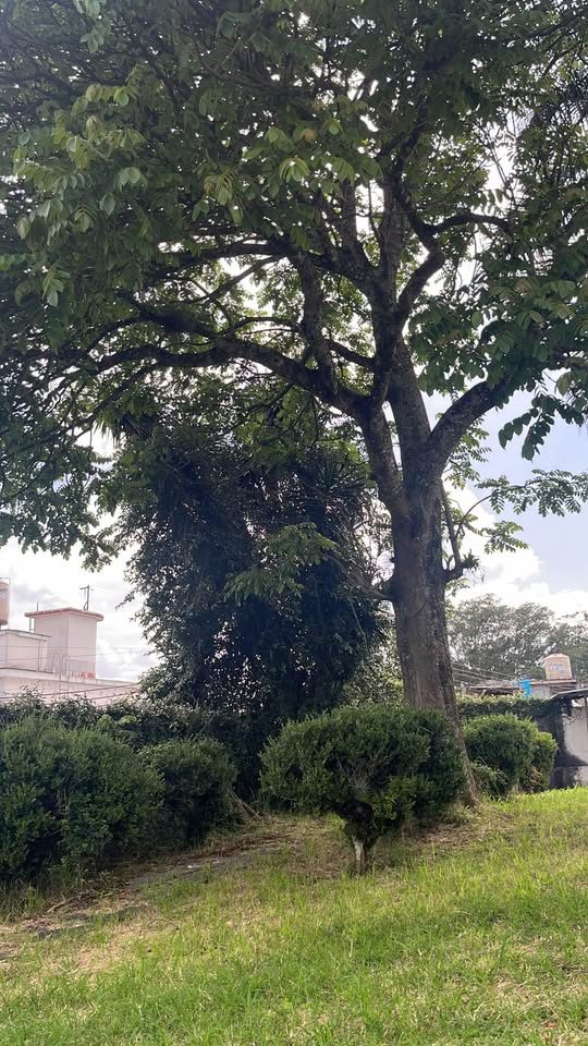 5 habitaciones 4 baños - Townhouse 2