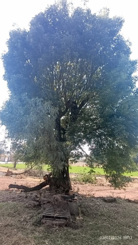Terreno en venta · Cholula de Rivadavia 2