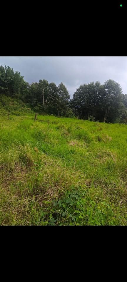 Se vende terreno de 7×20mts en rancho pala, cuenta con servicios,NO ES EJIDO, es propiedad. A tratar 3