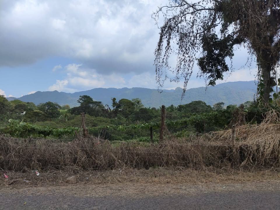 Terreno en venta · 100 000 m² · San José de Tapia 3