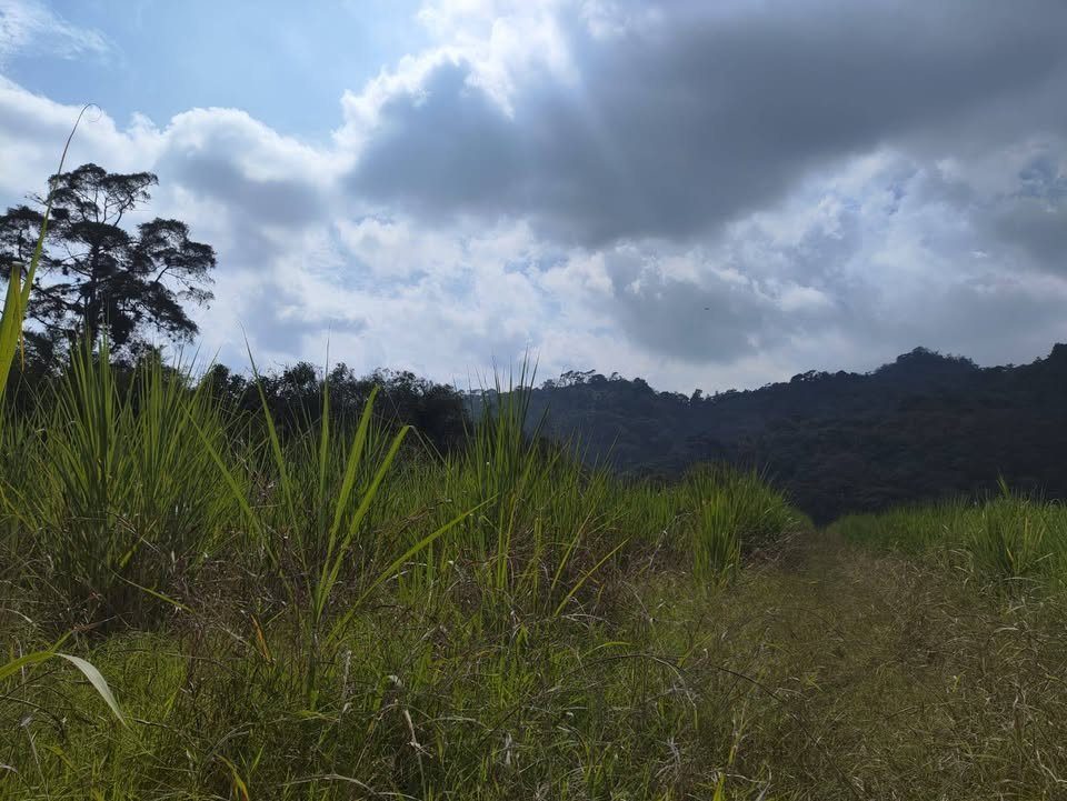 Terreno en venta · 100 000 m² · San José de Tapia 2