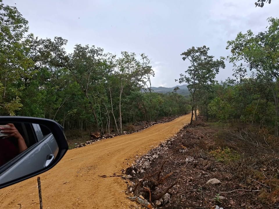 De venta bonitos  lotes con árboles, ideales para una casita de campo o día de descanso ☀️ 2
