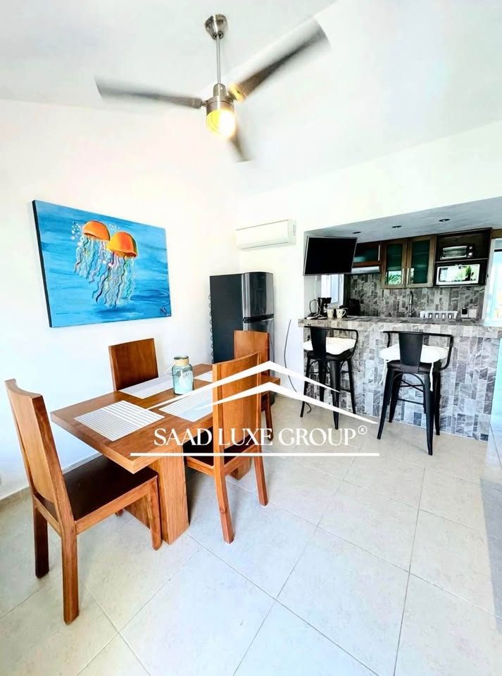 1 Bed 1 Bath - Apartment 2