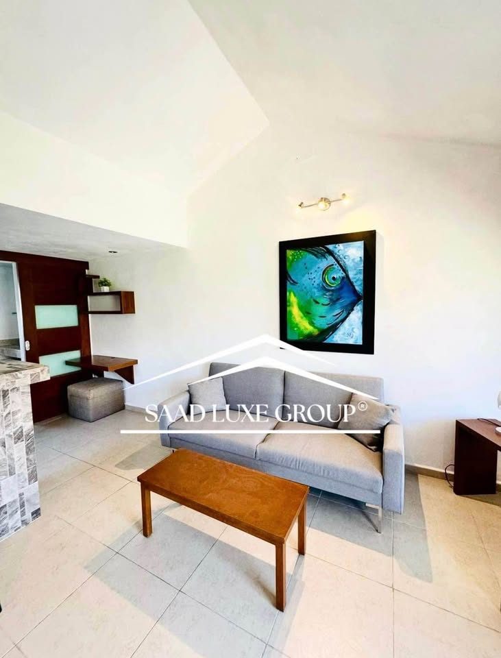 1 Bed 1 Bath - Apartment 3