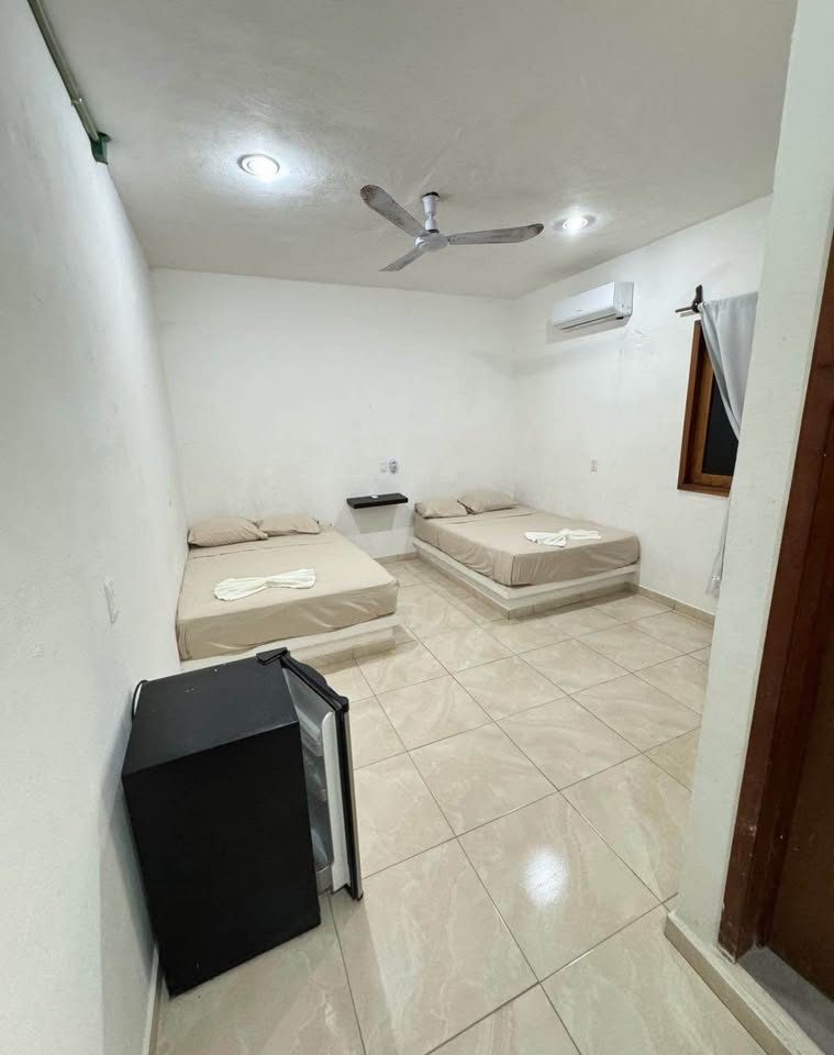 1 habitación 1 baño - Departamento 3