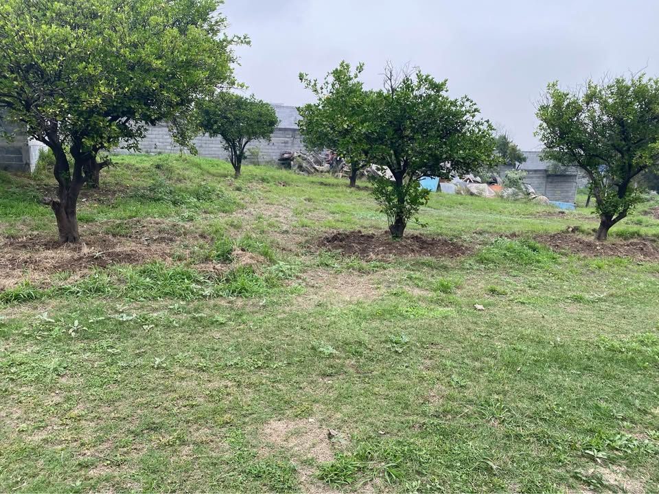 Terreno en venta · 10 800 m² · Guadalupe 2
