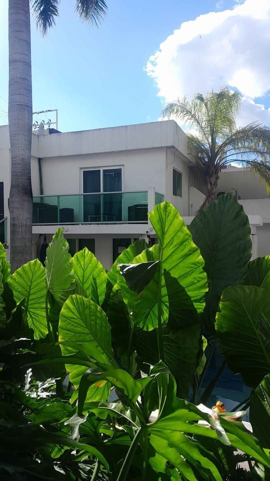 RENTO MI AIRBNB CON ALBERCA Y HABITACIÓN INDEPENDIENTE 3